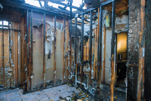 Professional Odor Removal technician working in Beechwood, MI